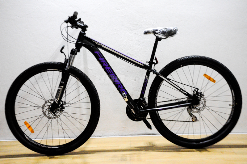 firebird mountain bike