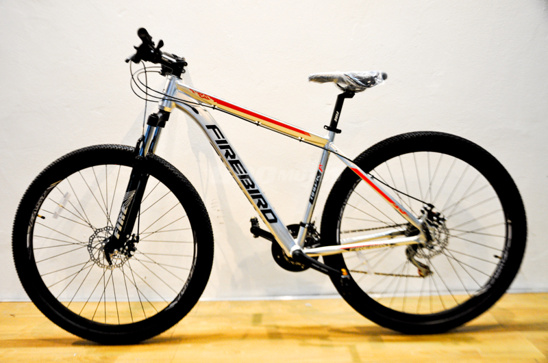 firebird mtb