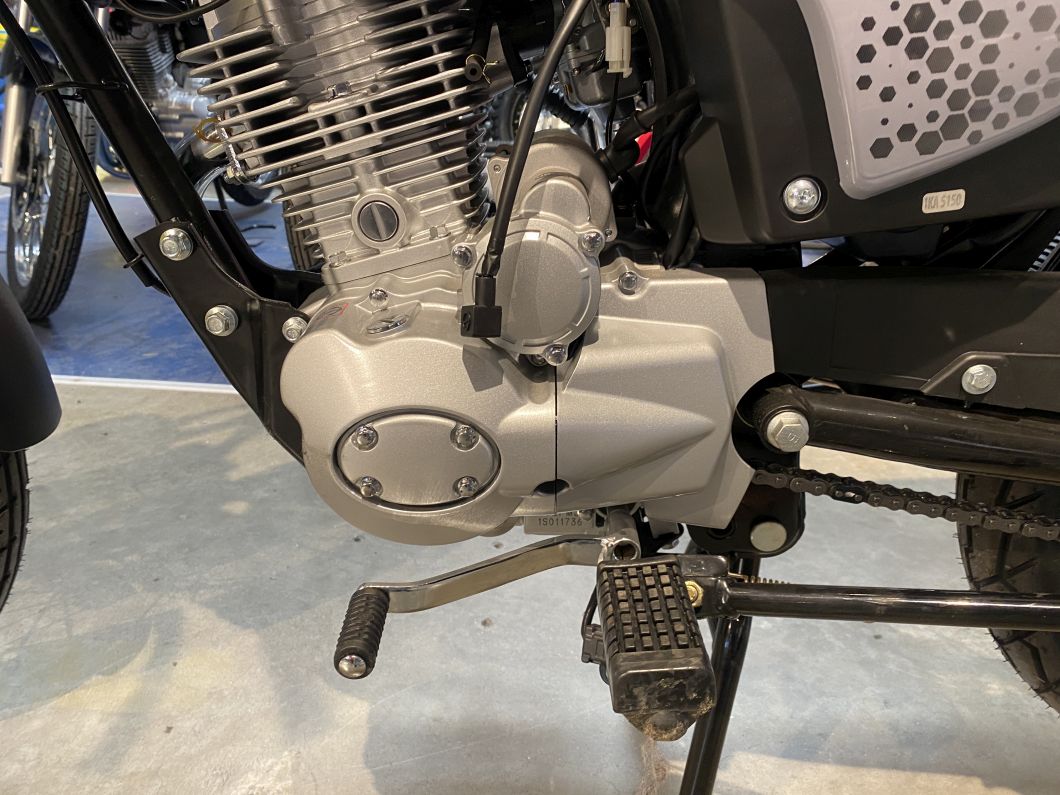Moto Ika Spot 150 Base