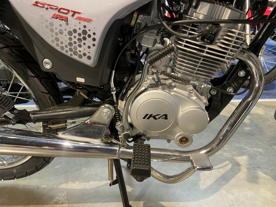 Moto Ika Spot 150 Base