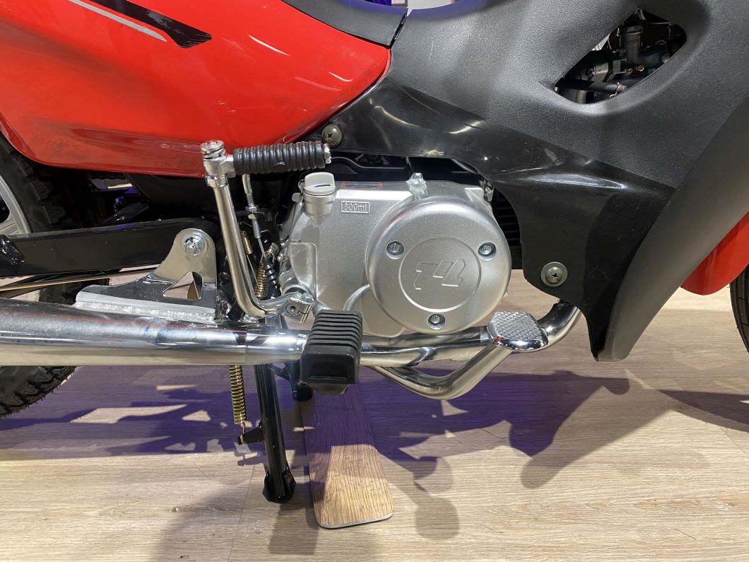 Moto Motomel Blitz 110 Full