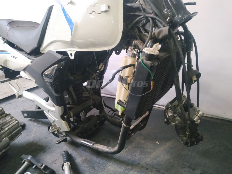 Moto Motomel s6 250 outlet-des int 19189