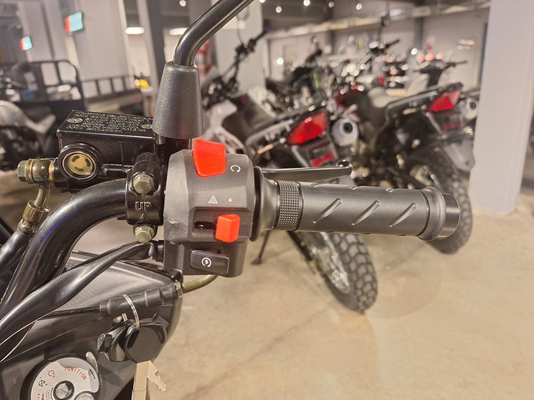 Moto Zanella Cruiser X 150