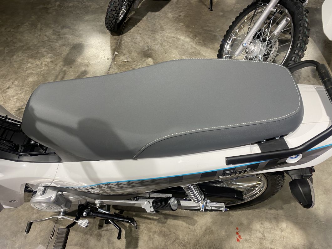 Moto Zanella Due 110 St