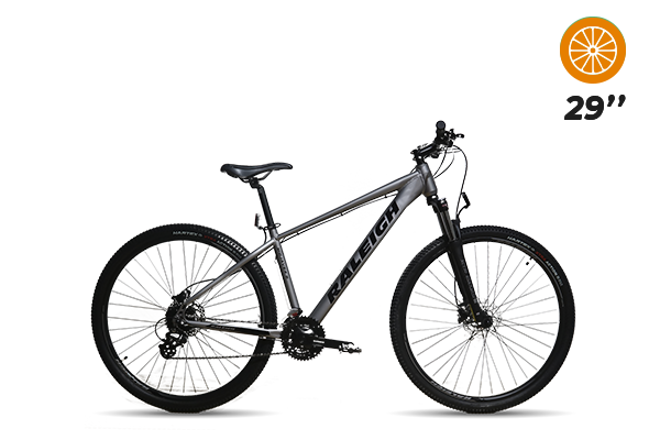 Bicicleta RALEIGH 4.5 R29 (2) [M2946]