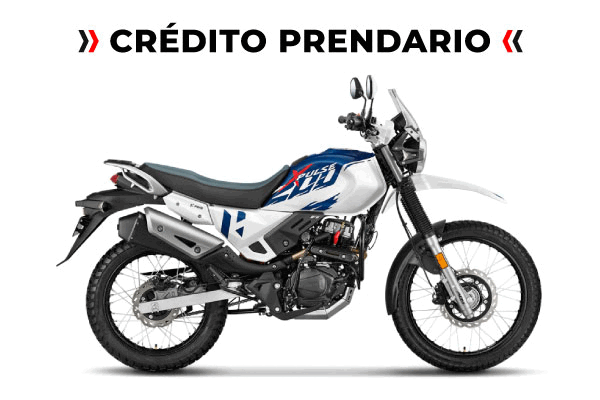 Xpulse 200  (14) [M3055]