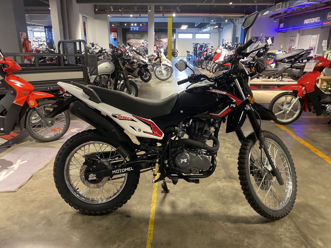 Skua 250 Base usado 2025 con 312 km int 50212 1M (1) [M3761]