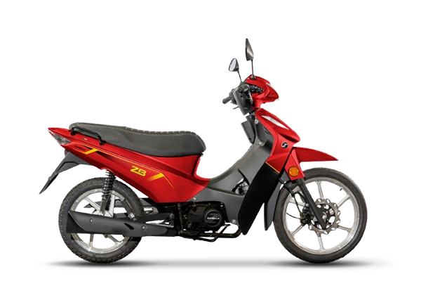 ZB 110 Z3 New Full (3) [M3671]