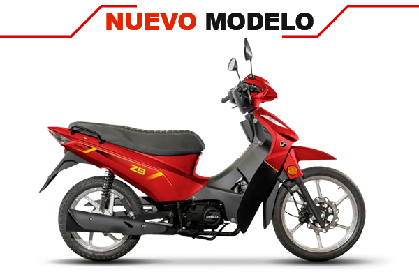 ZB 110 Z3 New Full (2) [M3671]