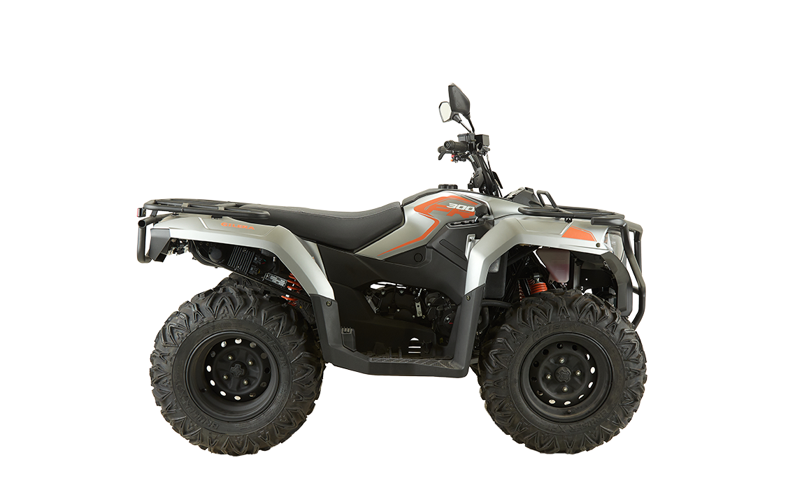 Cuatri FR 300 (1) [M3870]