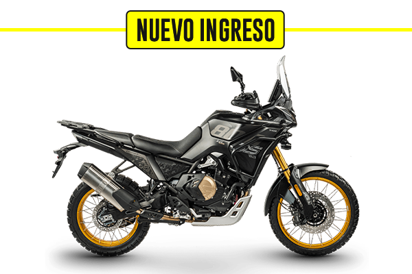 800 Rally  (1) [M3955]